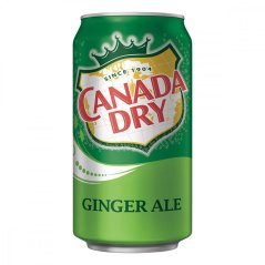 Canada Dry Ginger Ale 355ml USA