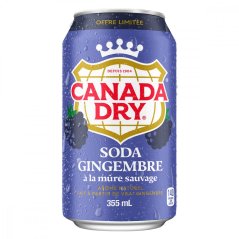 Canada Dry Ginger Ale Blackberry 355ml