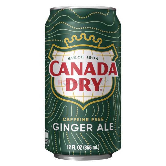 Canada Dry Ginger Ale 355ml USA